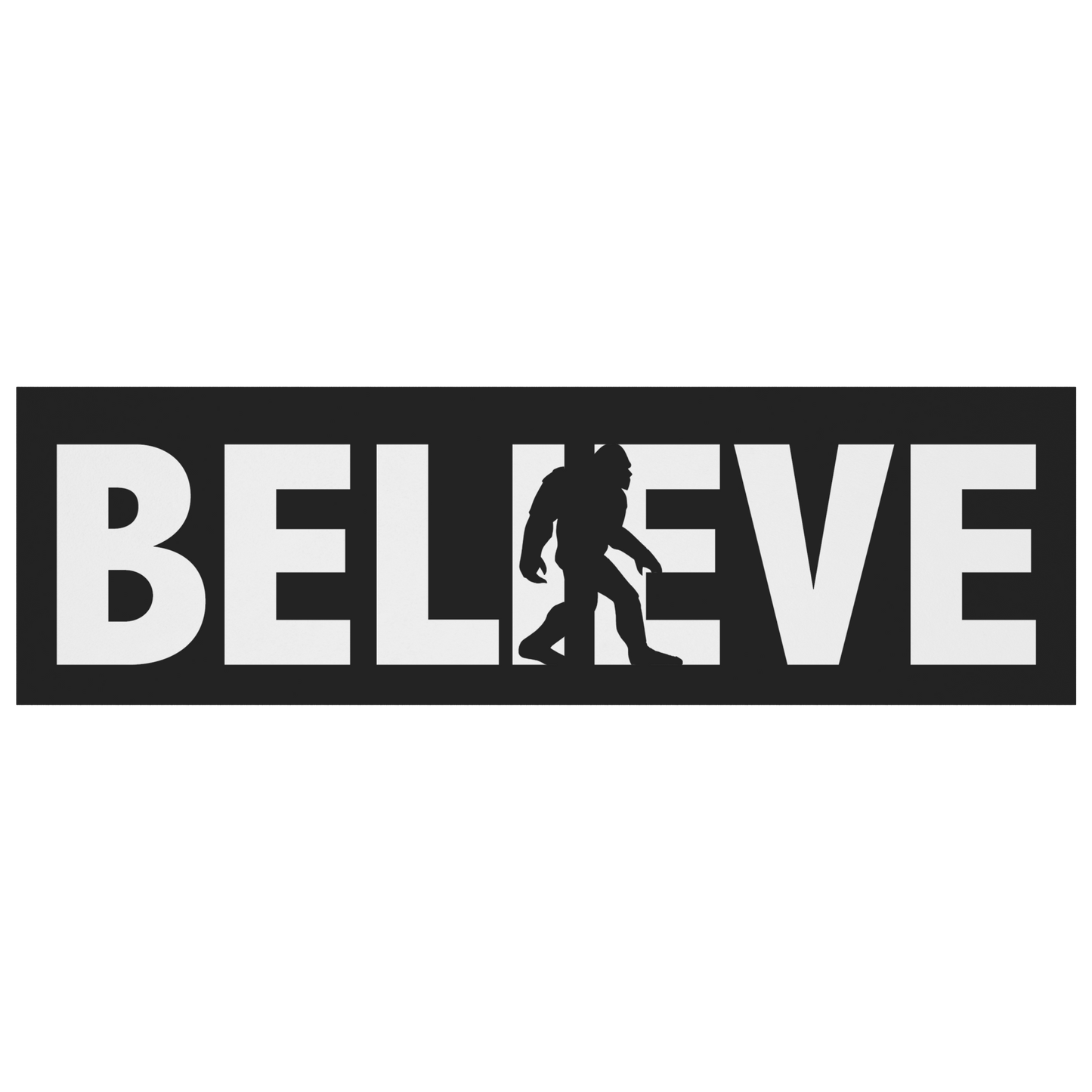 Believe_Magnet_BumperMagnet_Flat_H_Mockup.png