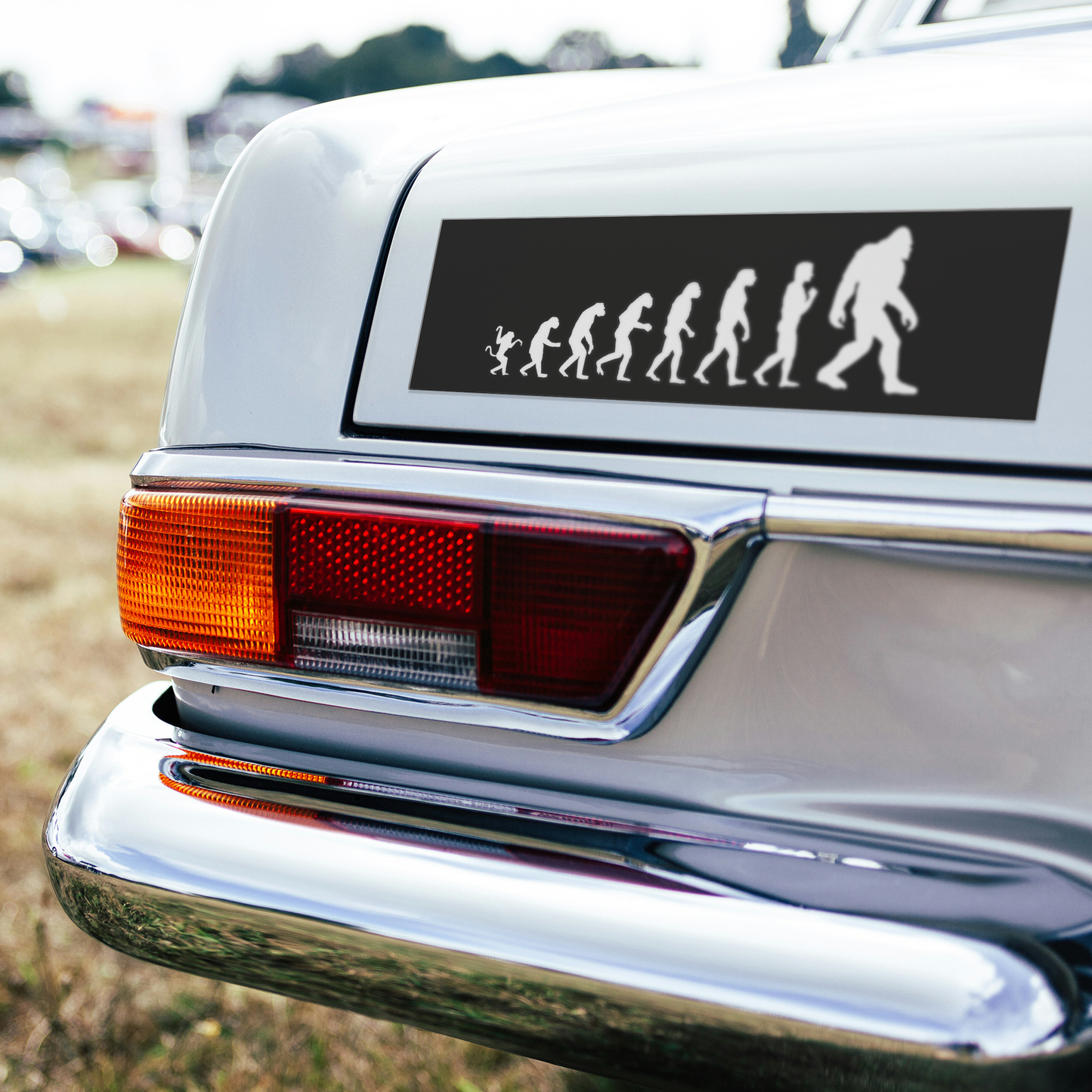 Evolution_Magnet_BumperMagnet_CarBumper_H_Mockup.png