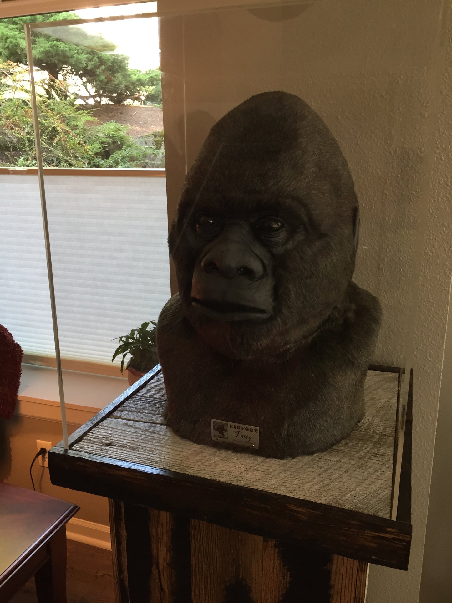 Bigfoot "Patty" Replica Head