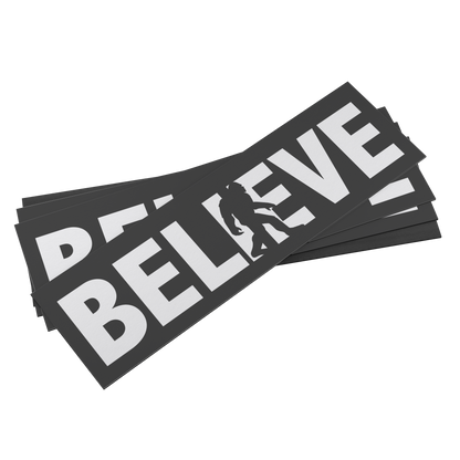 Believe_Magnet_BumperMagnet_MagnetsStack_H_Mockup.png