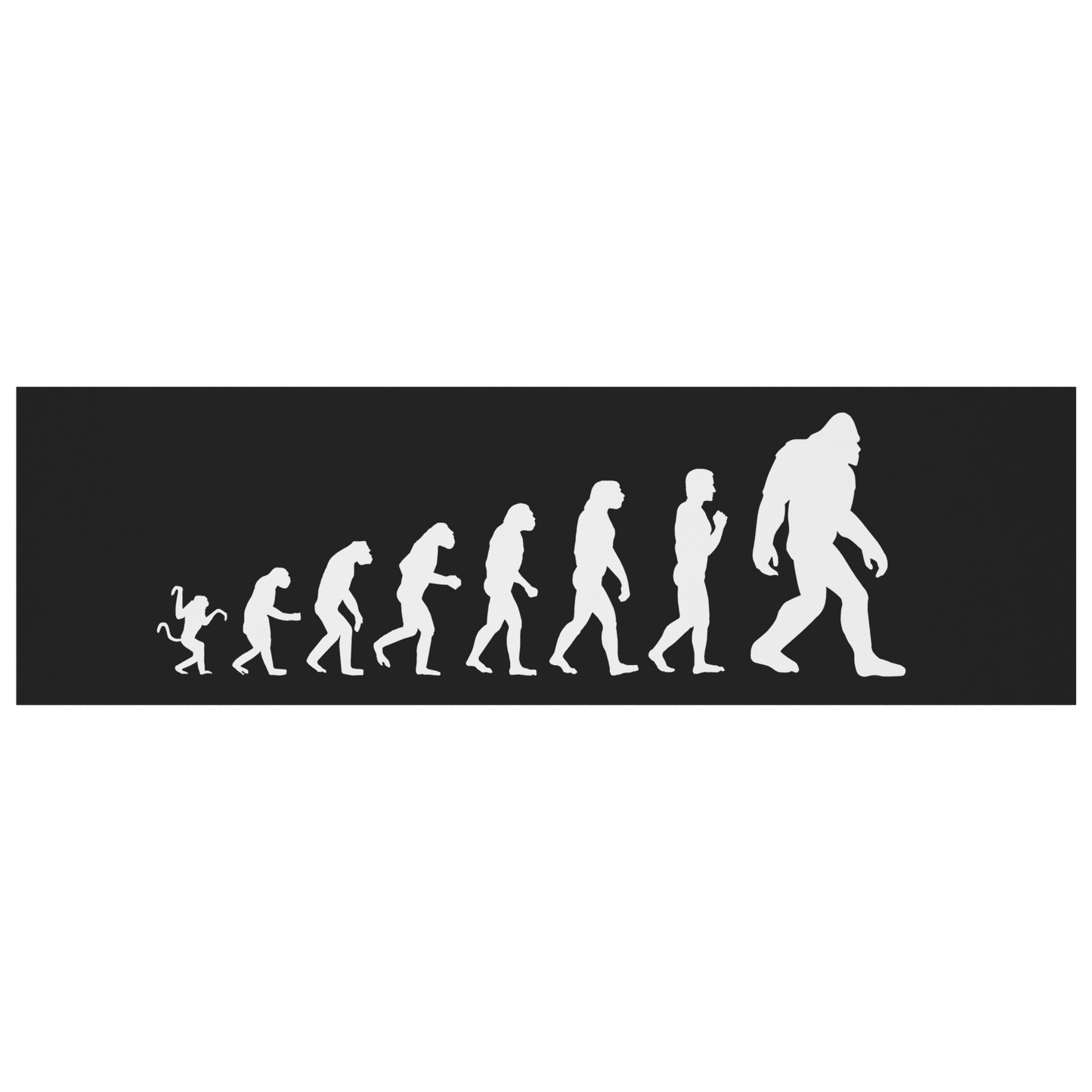 Evolution_Magnet_BumperMagnet_Flat_H_Mockup.png