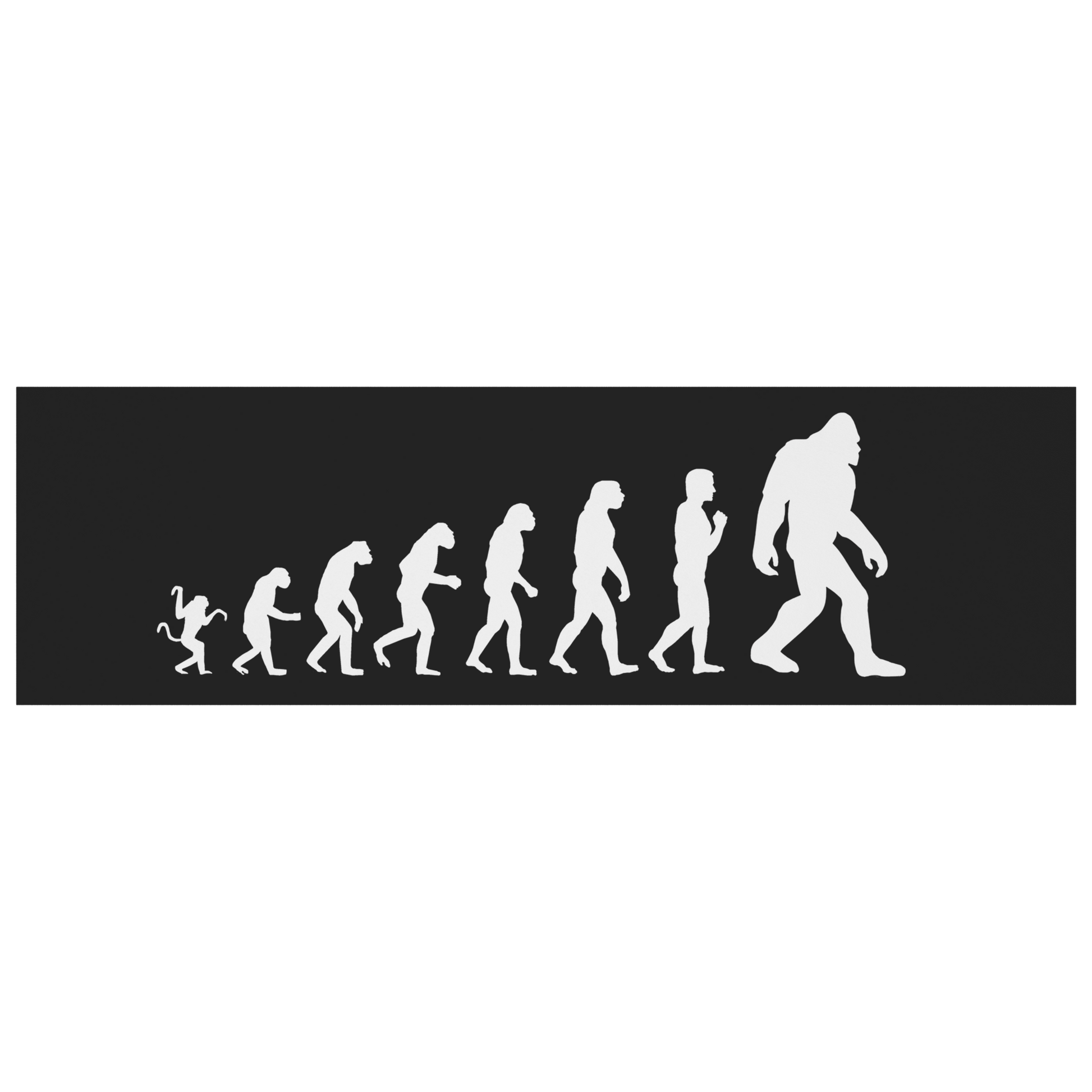 Evolution_Magnet_BumperMagnet_Flat_H_Mockup.png
