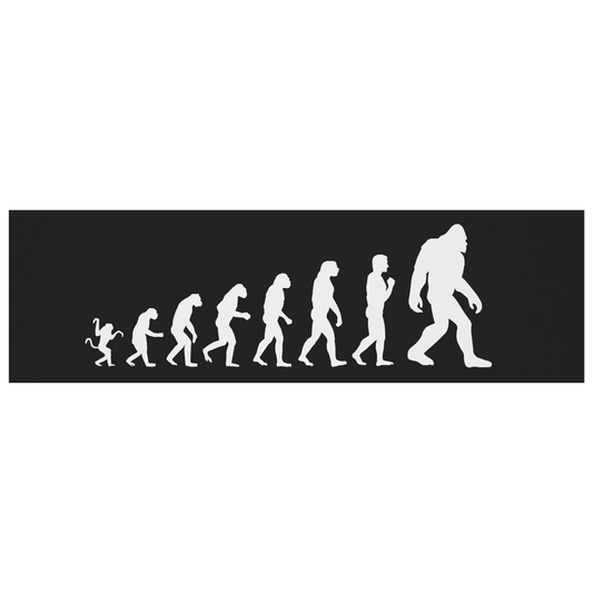 Evolution_Magnet_BumperMagnet_Flat_H_Mockup.png
