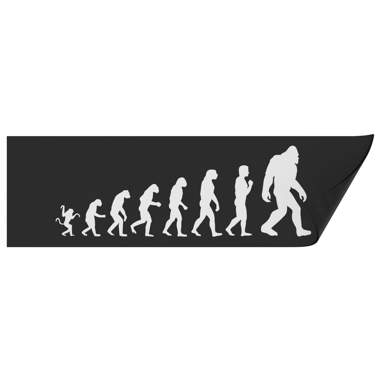 Evolution_Magnet_BumperMagnet_Folded_H_Mockup.png