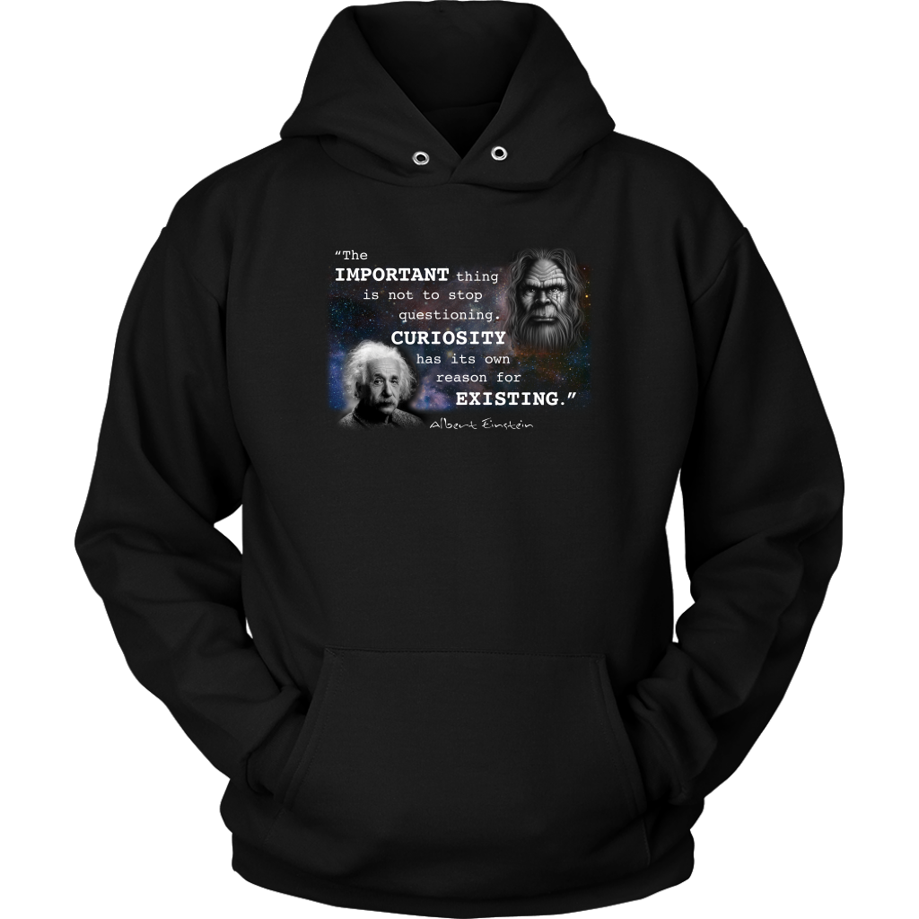 Einstein Questioning Hoodie