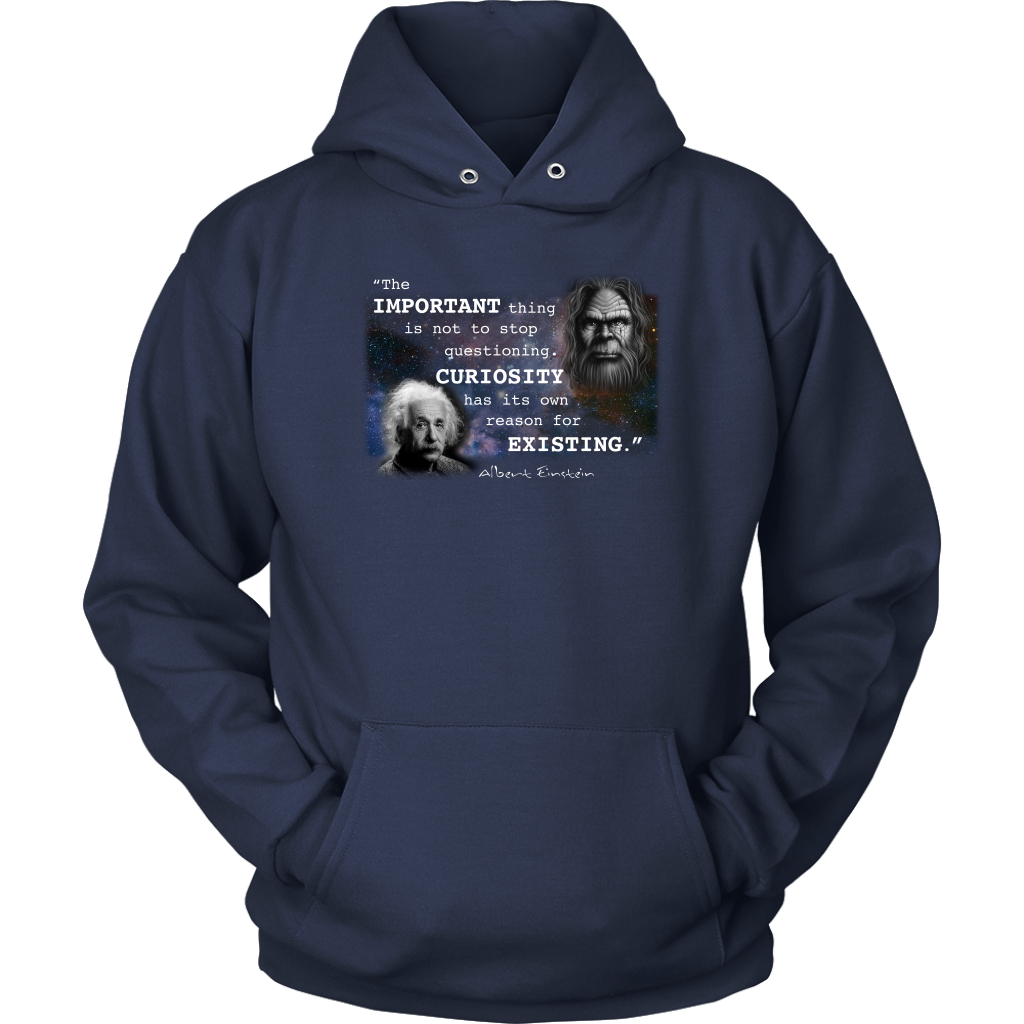 Einstein Questioning Hoodie