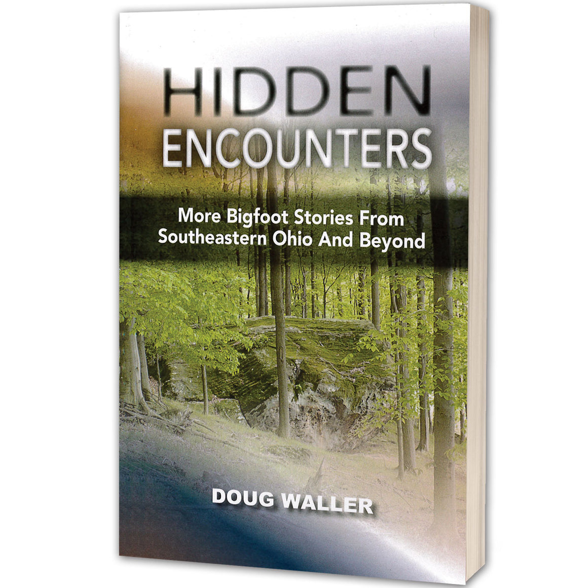 Hidden Encounters