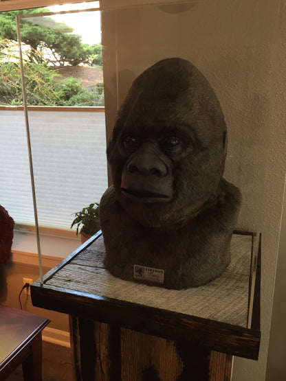 Bigfoot "Patty" Replica Head