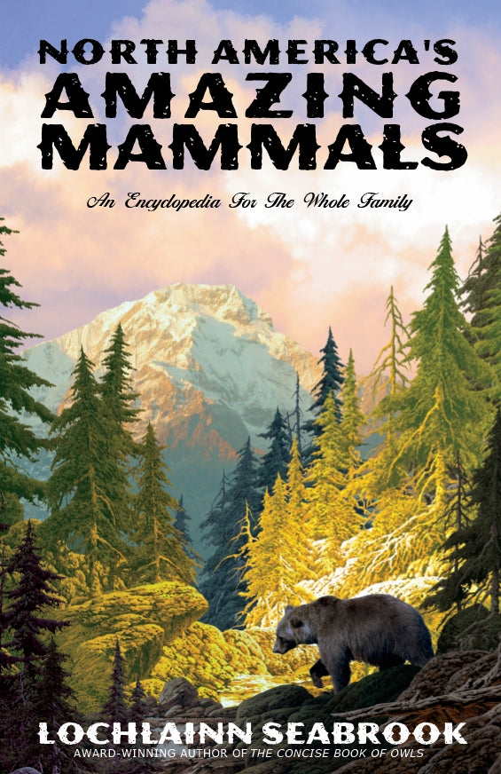 North America's Amazing Mammals