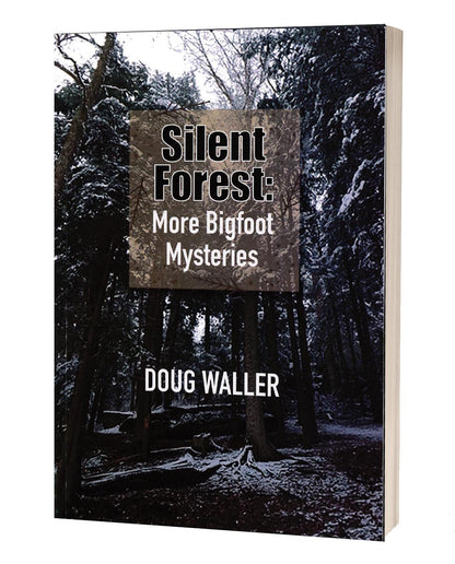 Silent Forest