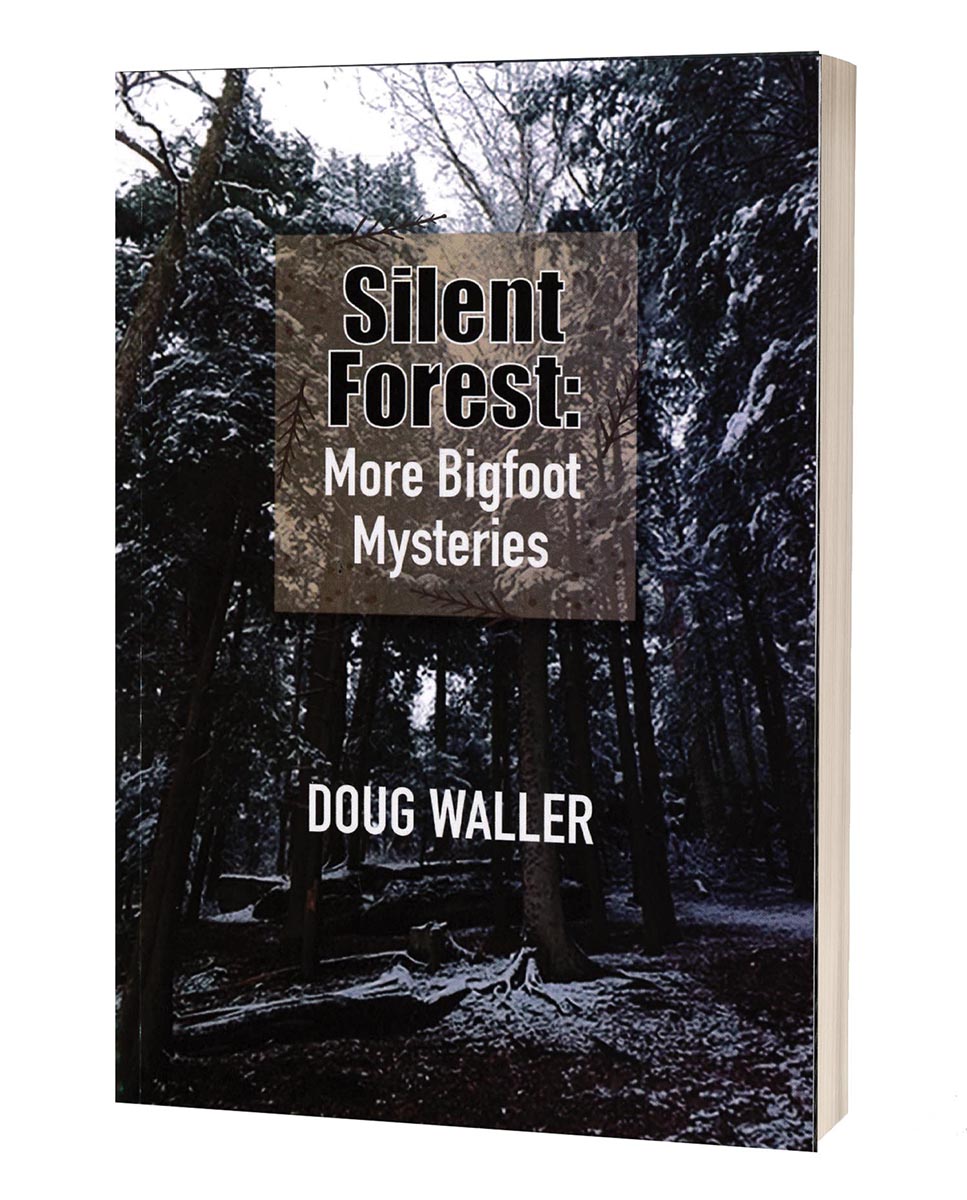 Silent Forest
