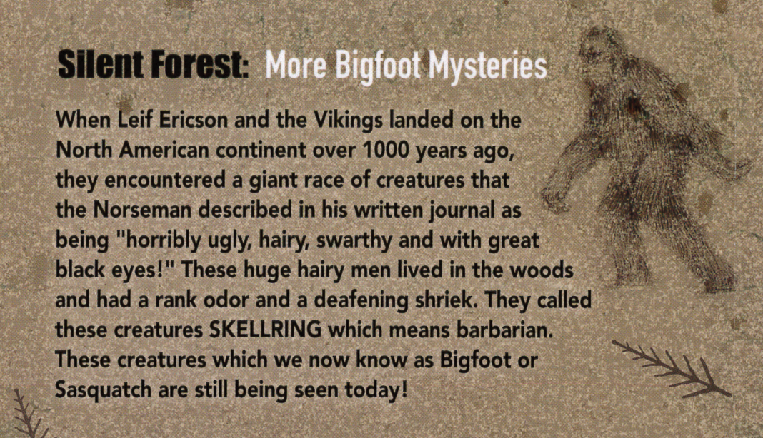 Silent Forest