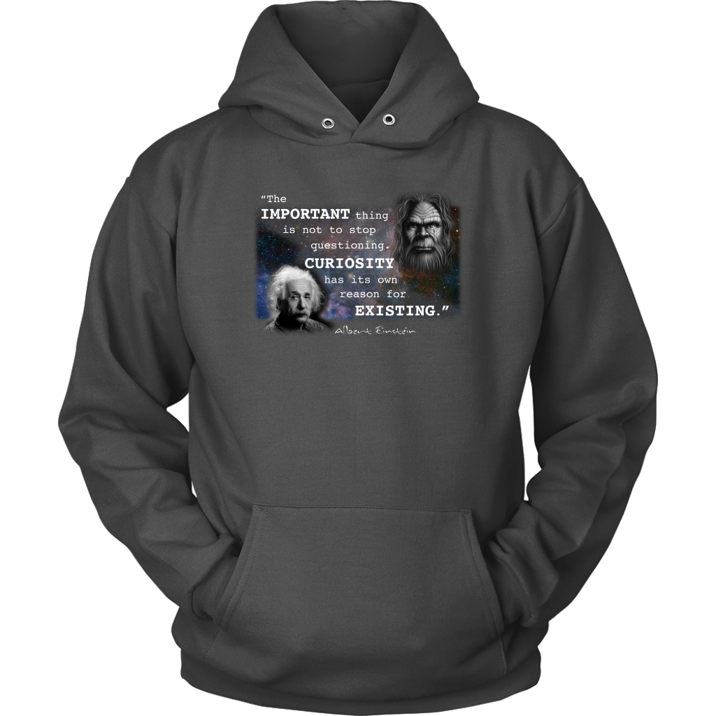 Einstein Questioning Hoodie